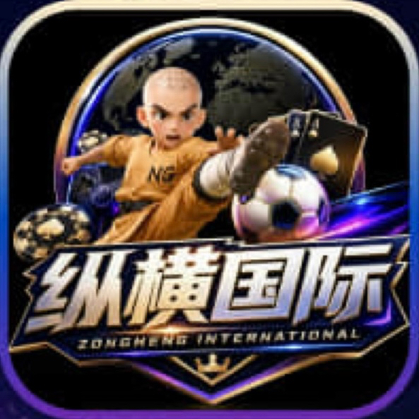 纵横国际